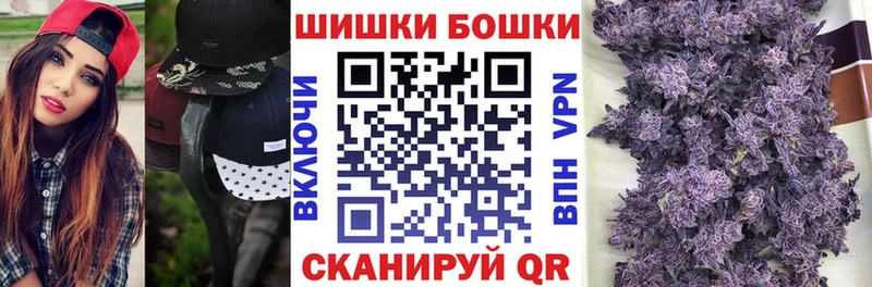 Купить закладки  Унеча  Бошки марихуана сатива 